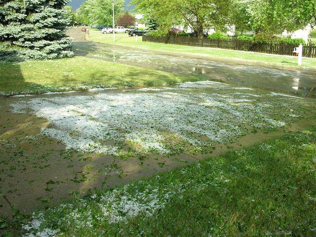 Shreded leaves and hail