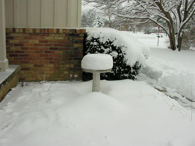 Tall stack on the bird bath