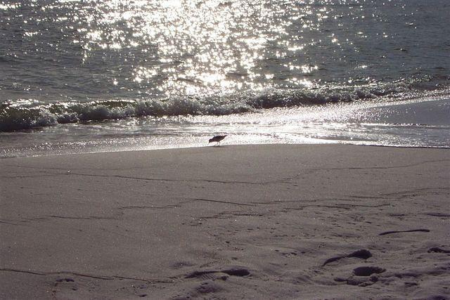 Gulf of Mexico at Desten Florida