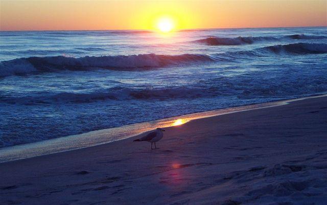 Gulf of Mexico Sunset