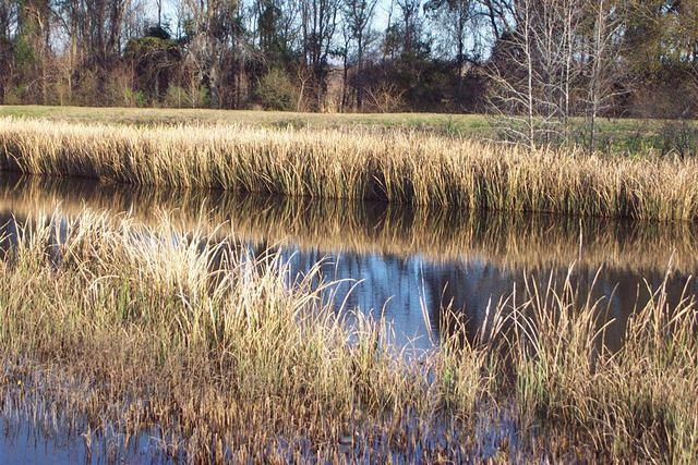 Atlantic Ocean nature trail