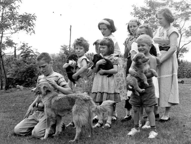 Kimling kids and others