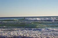 Gulf of Mexico + Surfer