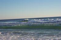 Gulf of Mexico + Surfers