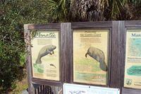 Info board on Manatee