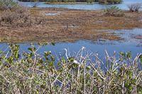 St. Augustine - nature trail