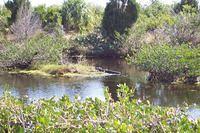 St. Augustine - nature trail