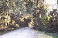 Atlantic Ocean nature trail